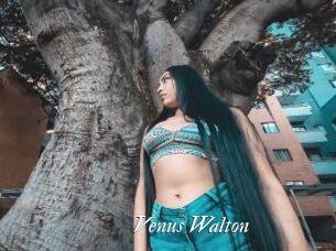 Venus_Walton