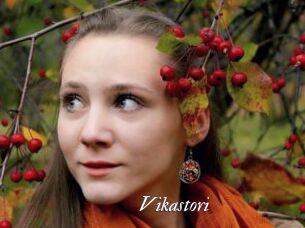 Vikastori