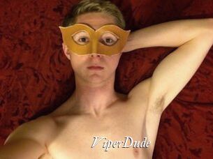 ViperDude