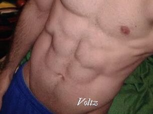 Voltz Partouze