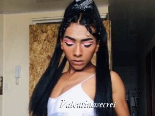 Valentinasecret
