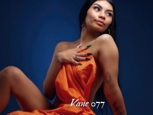 Vane_077