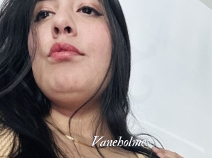 Vaneholmes