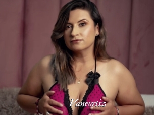 Vaneortiz