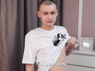 Vaneslinel