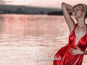 Vanessabelt