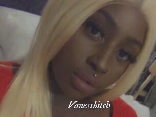 Vanessbitch