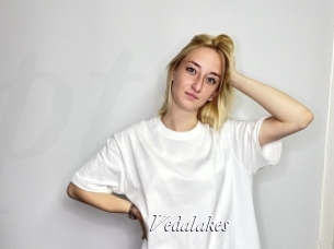 Vedalakes