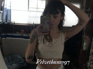 Velvetbunny97
