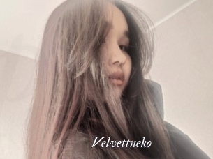 Velvettneko