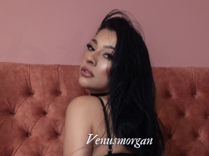 Venusmorgan