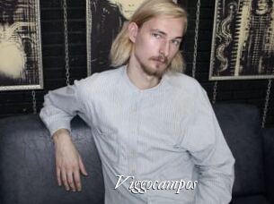 Viggocampos