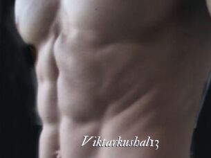 Viktarkushal13