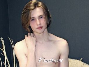 Vincekayne