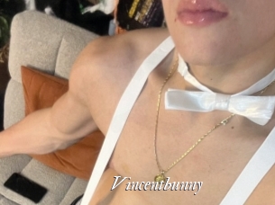 Vincentbunny