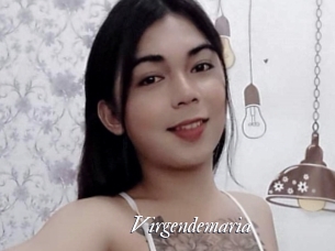 Virgendemaria