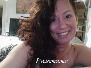 Vivienmolinas