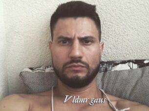 Vldmr_gaus