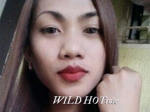 WILD_HOTrose