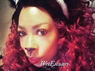 WetEstuary
