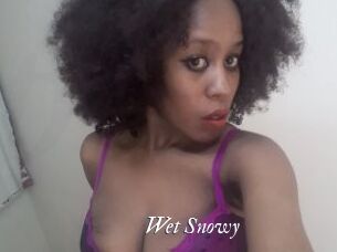 Wet_Snowy