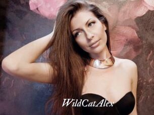 WildCatAlex Partouze