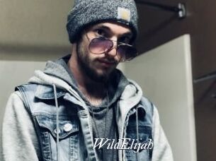 WildElijah
