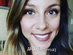 WildFlower023