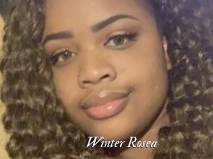 Winter_Rosea
