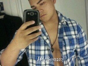 Wolfboy1213