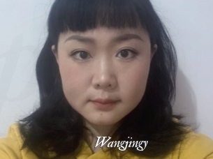 Wangjingy