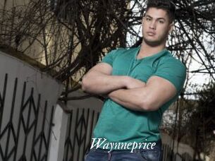 Waynneprice