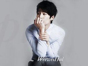 WeiweiHal