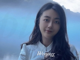 Wenjingg