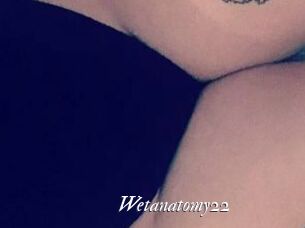 Wetanatomy22
