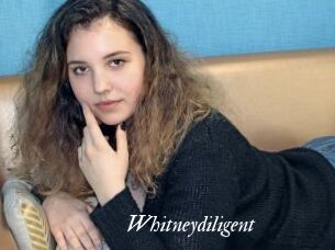 Whitneydiligent