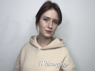 Whitneyfigge