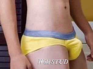 Wild_STUD