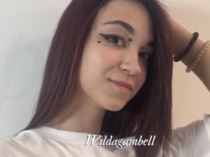 Wildagambell