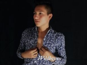 Wildboysex