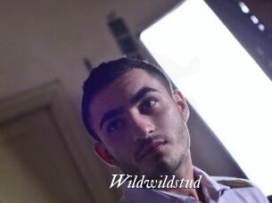 wildwildstud Partouze