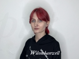 Wilonebanwell