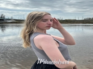 Wilonebolyard