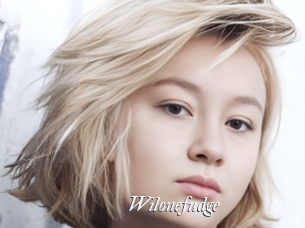 Wilonefudge