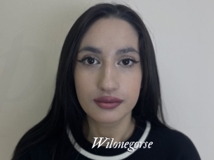 Wilonegorse