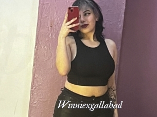 Winniexgallahad