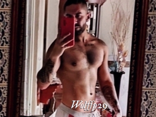 Wolffp29