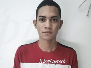 Xboybiigcock