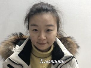 Xiaoniuniu