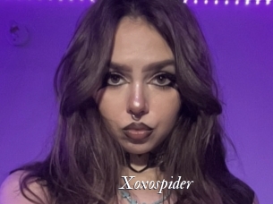 Xoxospider